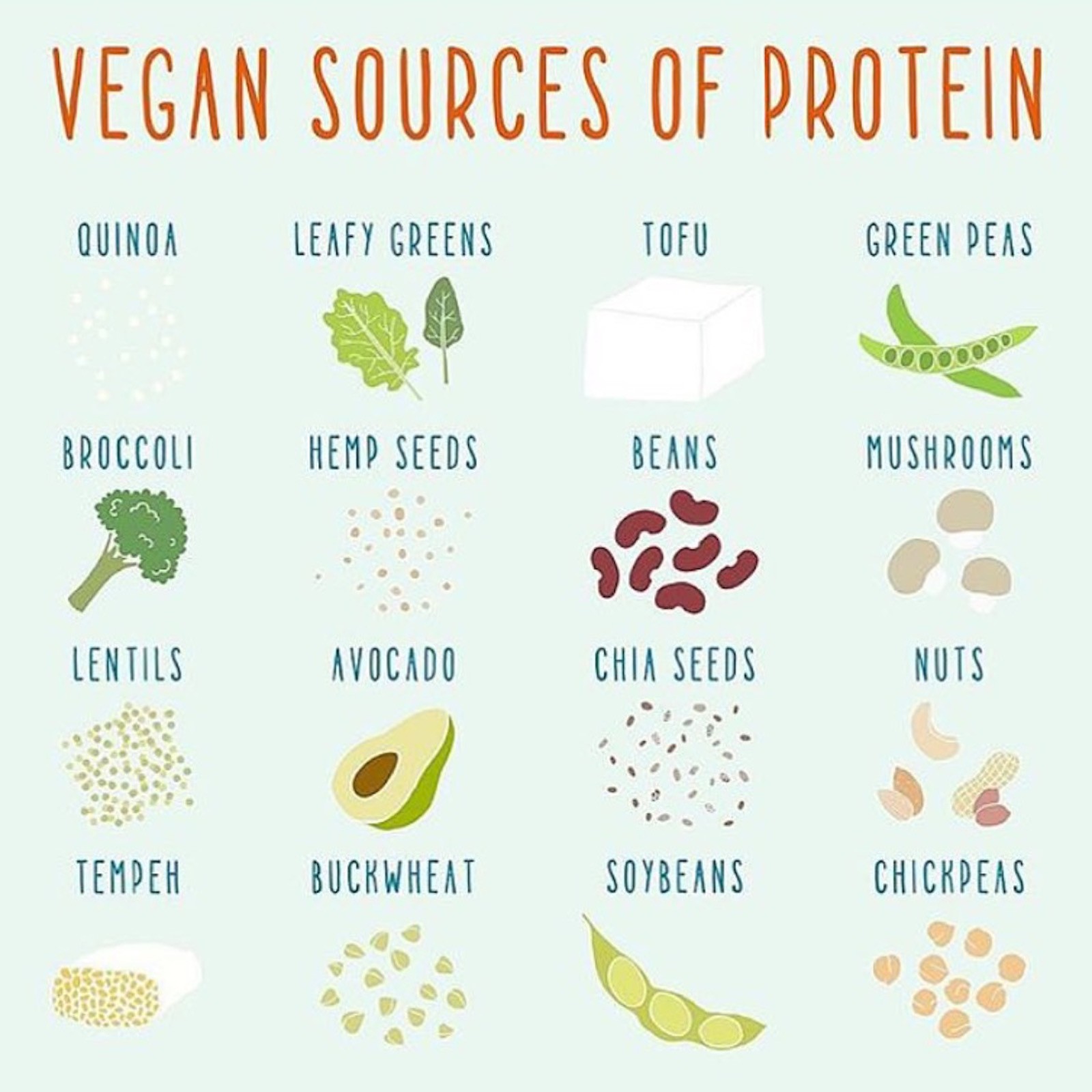Protein on a low FODMAP Vegan Diet