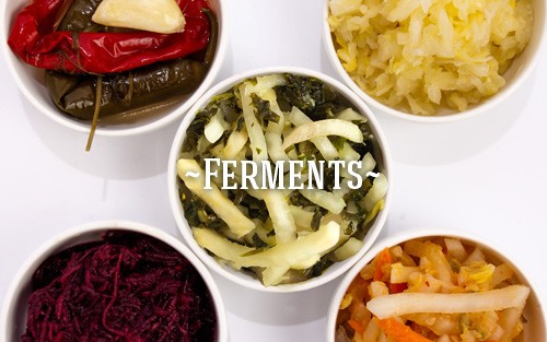 The Importance of Fermented Foods
